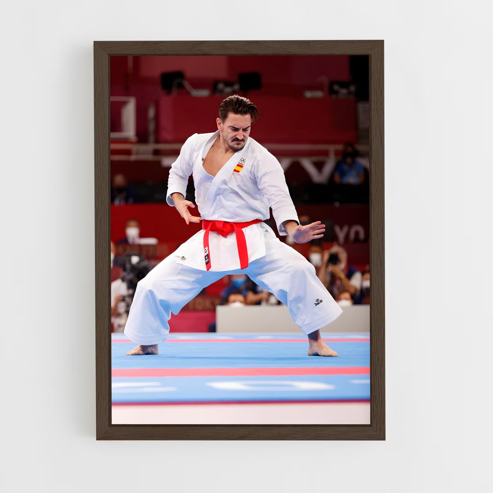 Poster Karateka en Action – affiche Karaté (vue 5)